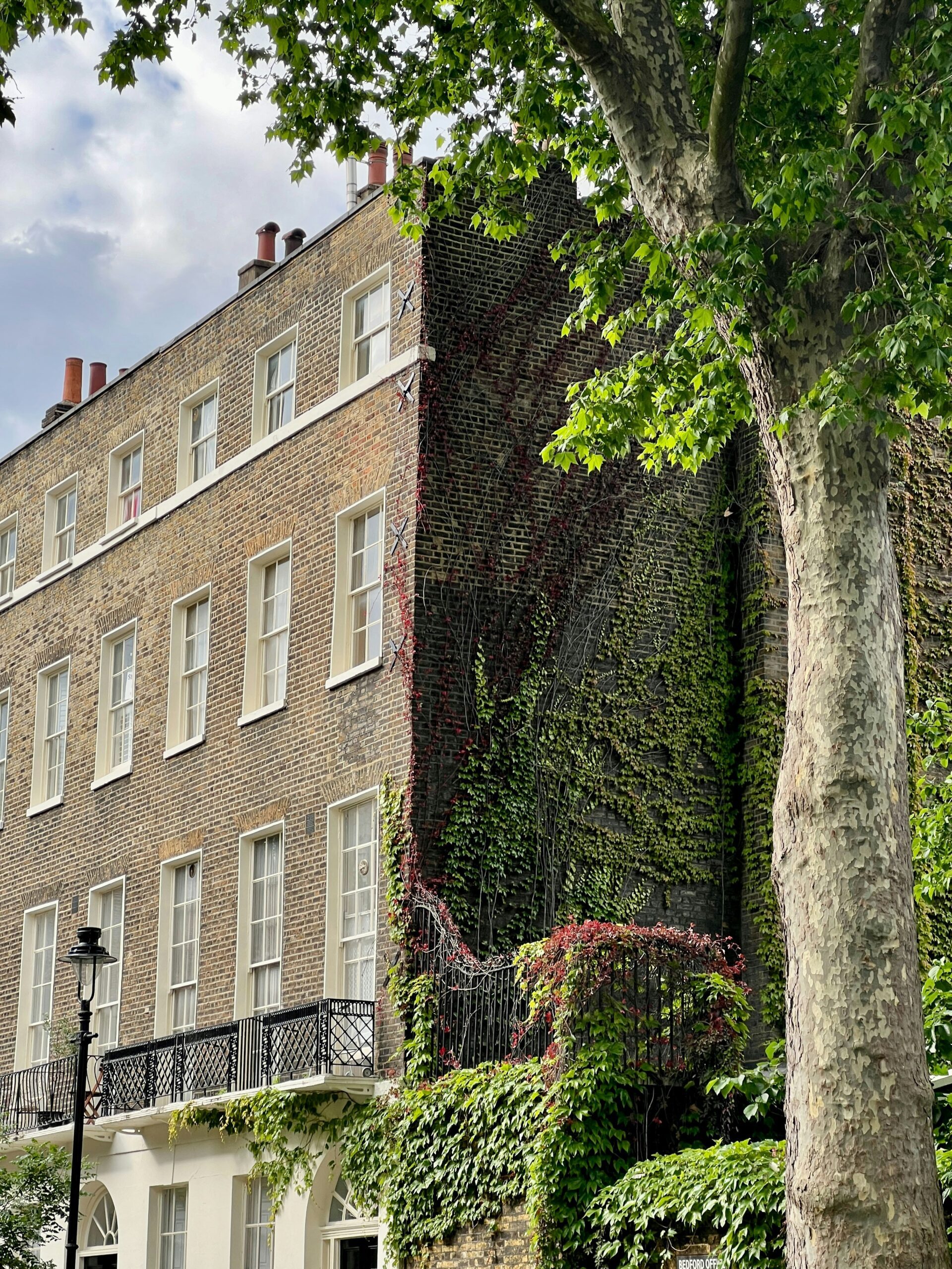 Architectural design drawings incorporating Urban Greening Factor metrics for residential extensions in Kensington