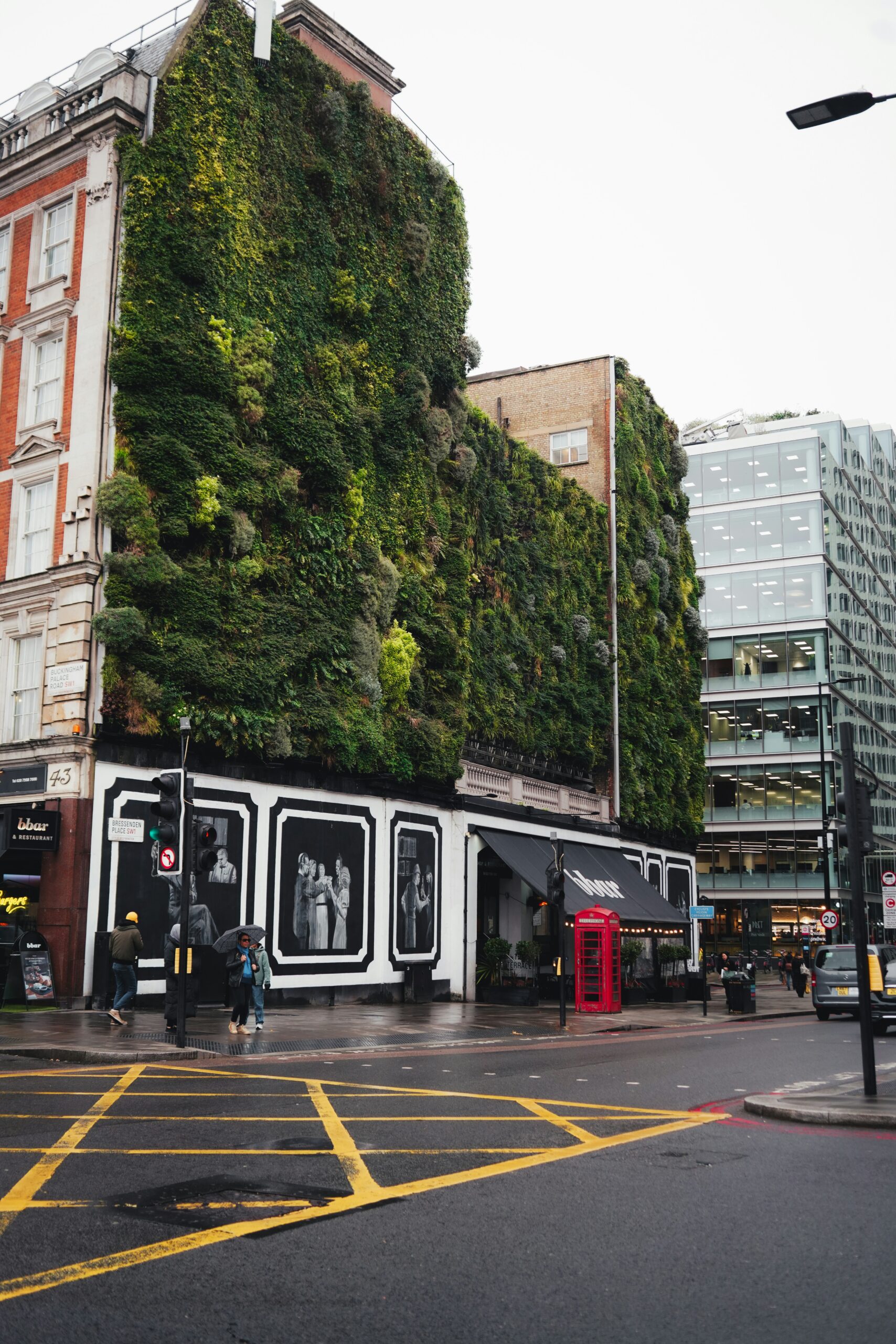 High-performance roof extension featuring integrated green roofing solutions built by ELB Construction Services Ltd in London